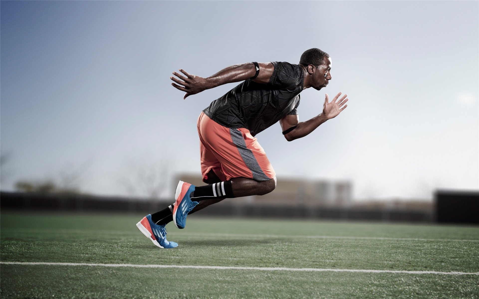 _湖人队内线统治,轻取对手_,湖人内线多强